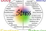 Aging Effects of Stress You Should Know